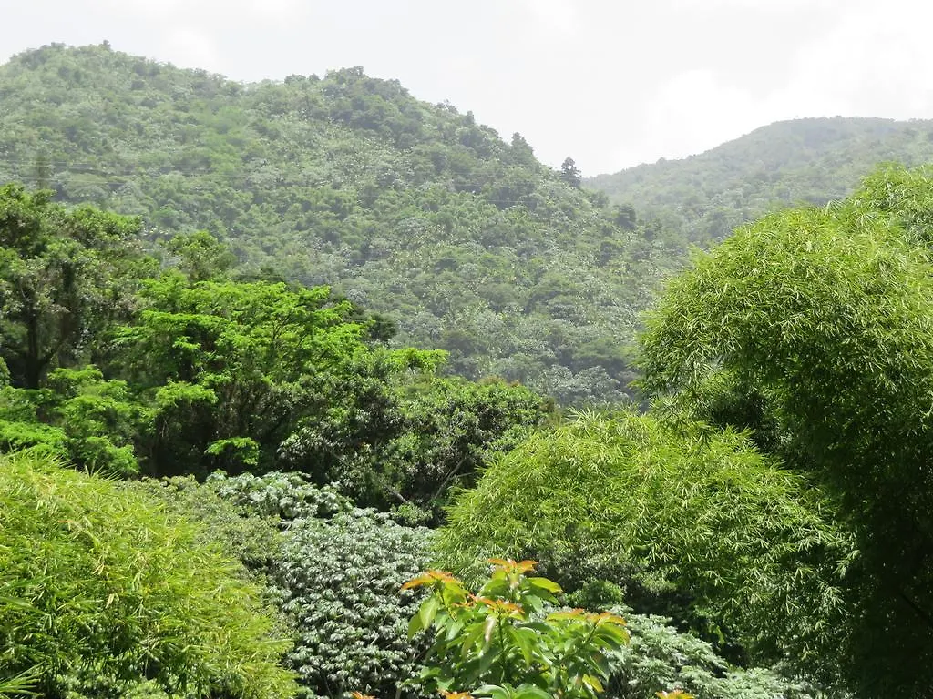 ** Bed & Breakfast Casa Cubuy Ecolodge Naguabo Portoriko