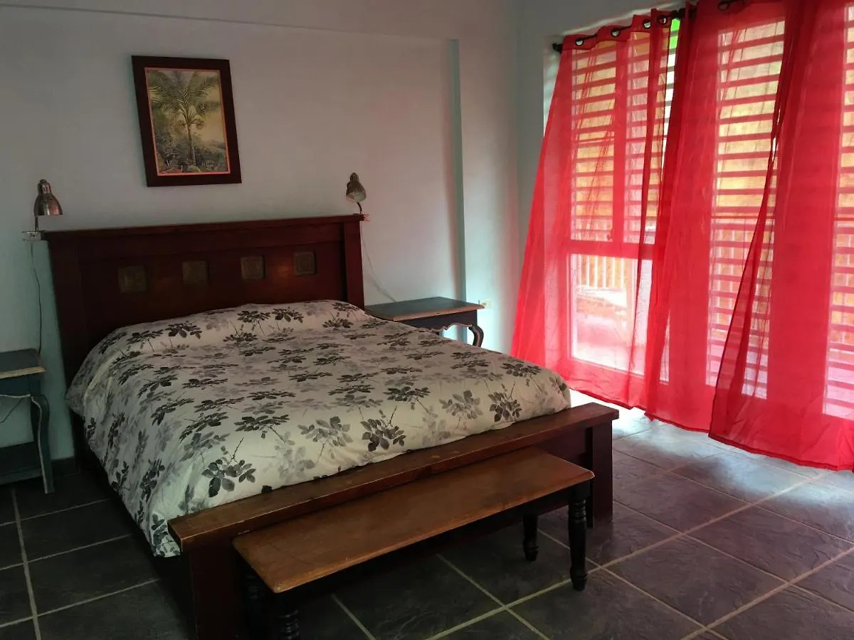 Casa Cubuy Ecolodge Naguabo Bed & Breakfast